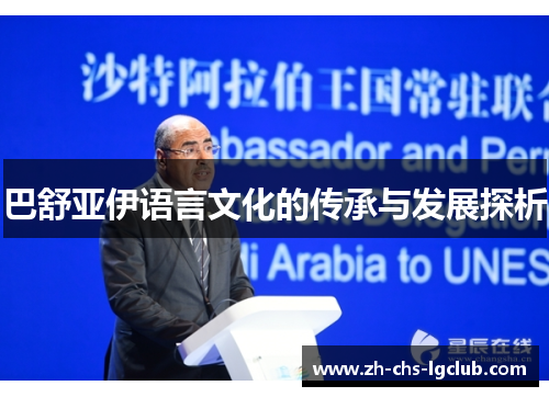 巴舒亚伊语言文化的传承与发展探析