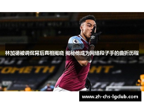 林加德被调侃背后真相揭晓 揭秘他成为网络段子手的曲折历程 林加德被调侃背后真相揭晓 揭秘他成为网络段子手的曲折历程