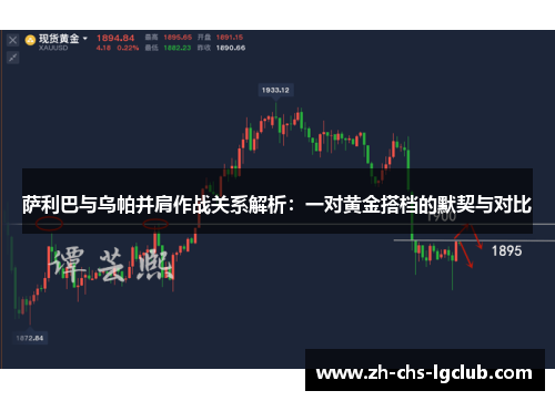 萨利巴与乌帕并肩作战关系解析：一对黄金搭档的默契与对比