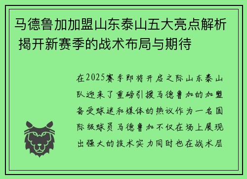 马德鲁加加盟山东泰山五大亮点解析 揭开新赛季的战术布局与期待 马德鲁加加盟山东泰山五大亮点解析 揭开新赛季的战术布局与期待